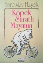 Yerel kapak resmi